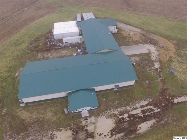 Big River Fish Corporation: 30402 State Highway 107, Griggsville, IL 62340